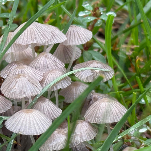 Type beat (feat. Toxik)