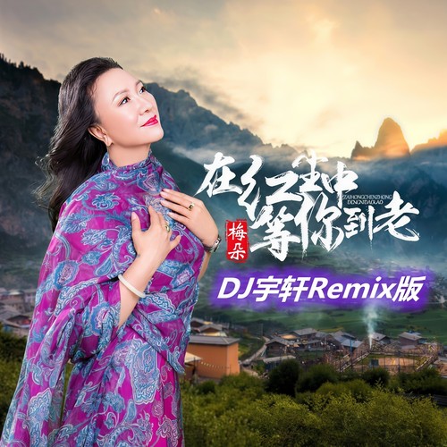 在红尘中等你到老(DJ宇轩Remix版)