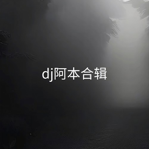 dj阿本合辑