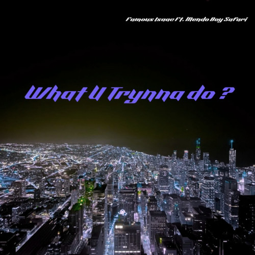 What U Trynna Do (Explicit)