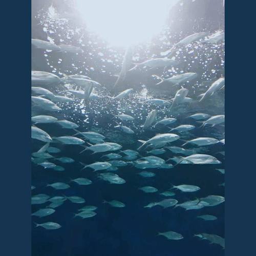 Is it me or everyone else ?