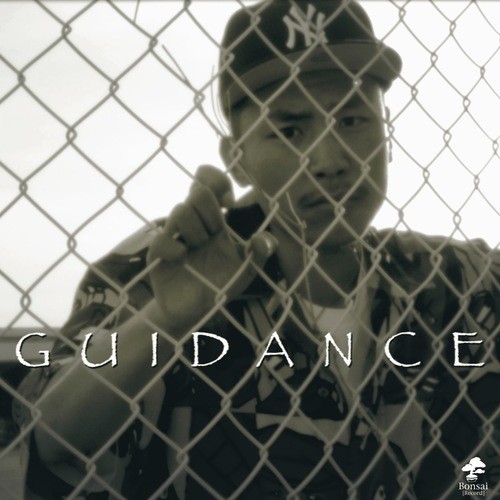 Guidance (Explicit)