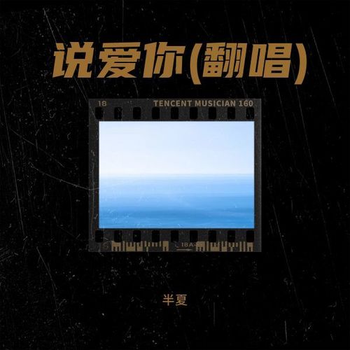 说爱你(翻唱)