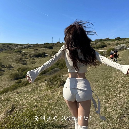 海阔天空 (Dj旋律版)
