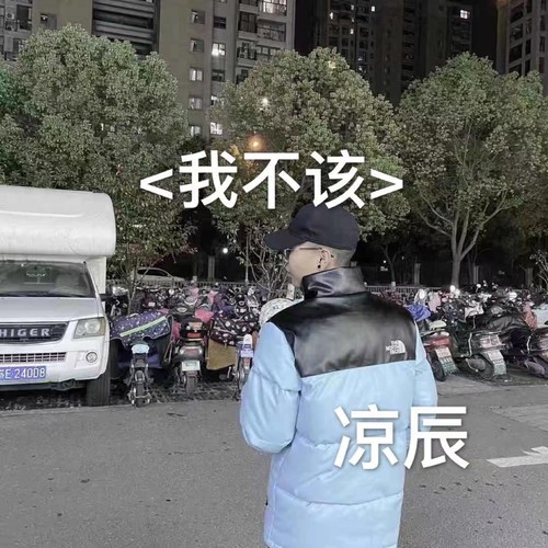 我不该