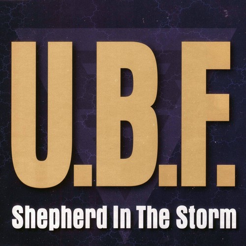 Shepherd In The Storm