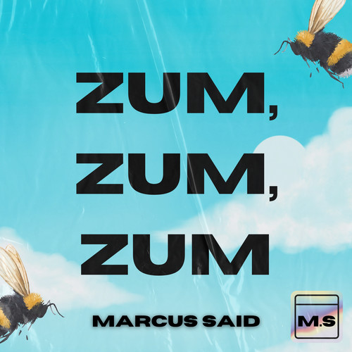 Zum Zum Zum (Vip Mix)