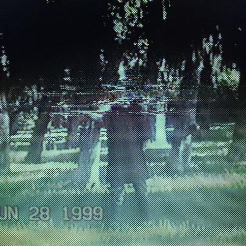 ǝɹnʇɐu ɥʇᴉʍ ǝuo