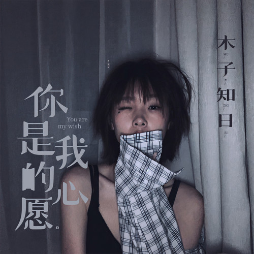 你是我的心愿