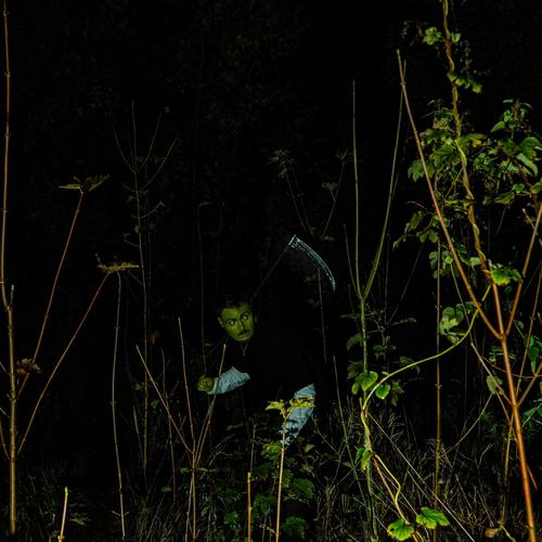 VERT GOBELIN (Explicit)