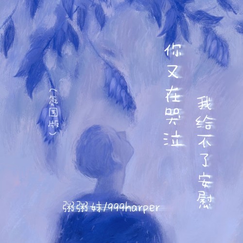 你又在哭泣我给不了安慰(氛围版)