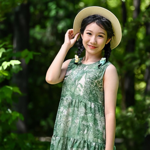 凤凰花开的路口