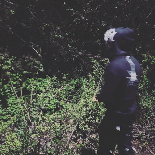 Daily Shenanigans (Explicit)