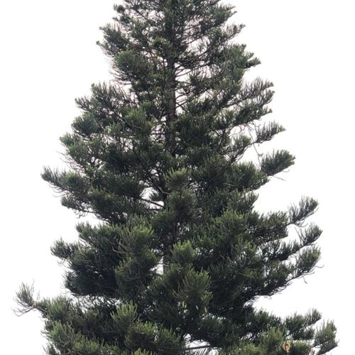 Es así (feat. Dr Tenz & e.e.)