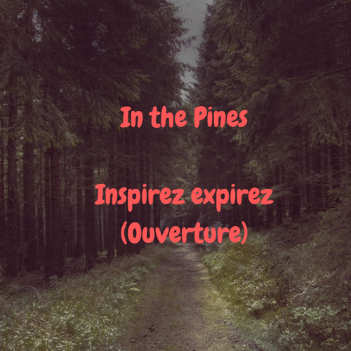 In the Pines