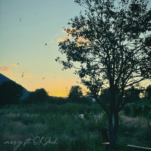 Kleine Kunst (feat. OK Josh)