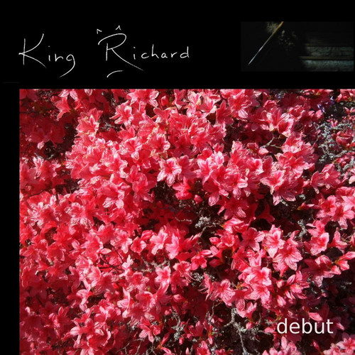 debut (Explicit)