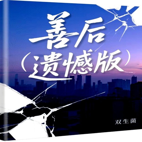 善后（遗憾版）