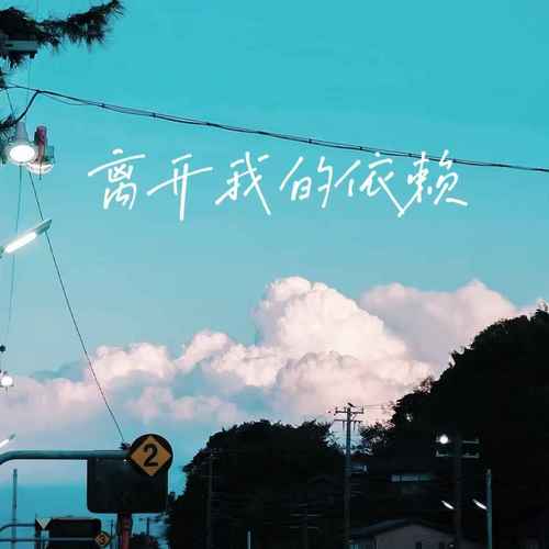 离开我的依赖（我来不及道声不安）