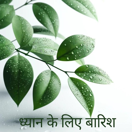 ध्यान के लिए बारिश: शांत ध्यान के लिए प्राकृतिक ध्वनियाँ