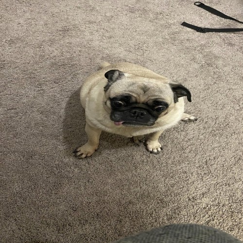 My Life for Yours (Explicit)