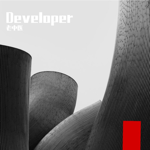 Developer