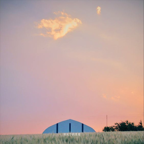 阳光下的星星