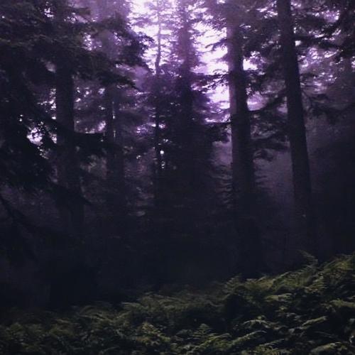 WINTERSCHLAF (Explicit)