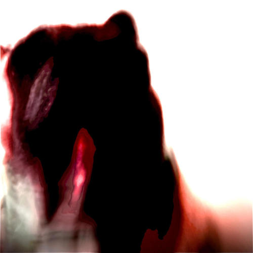 W/O A Camera (Explicit)