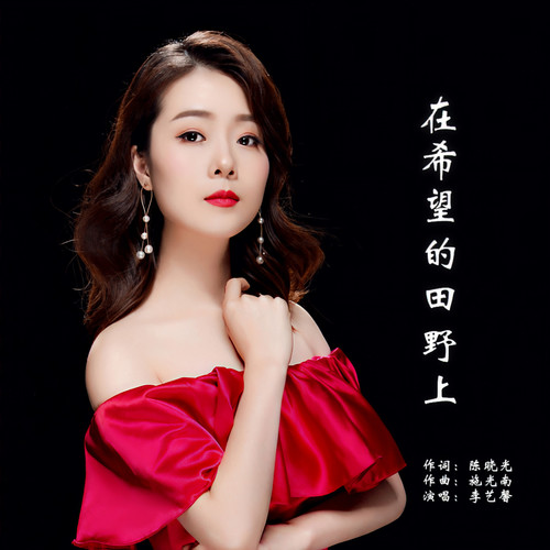 在希望的田野上