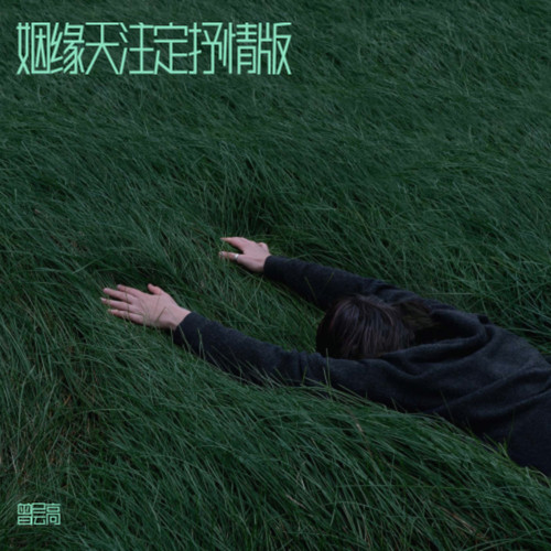姻缘天注定抒情版