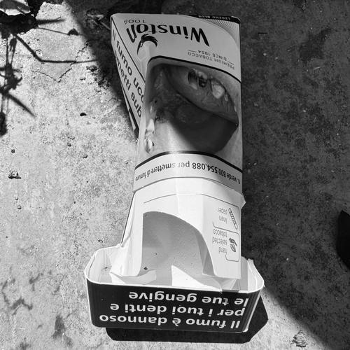 BABY LUNGS (Explicit)