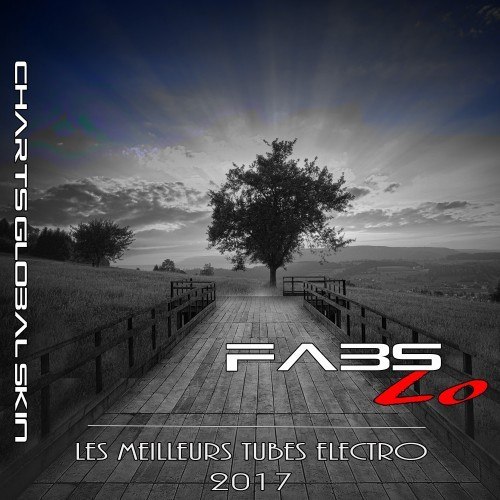 Charts Global Skin (Les Meilleurs Tubes Electro 2017)