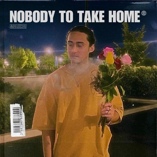 NOBODY TO TAKE HOME (Explicit)