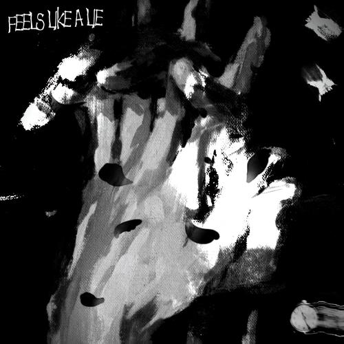 FEELS LIKE A LIE (feat. hykami)