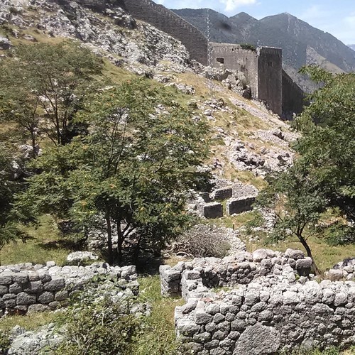 I Have Always Lived in This Castle