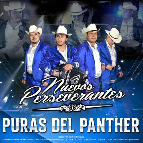 Puras del Panther