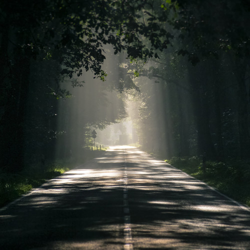 Meditation and Sleep - Relaxation, Sleep Therapy Music
