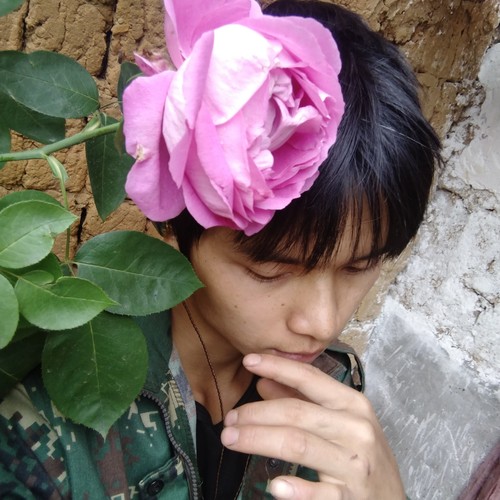 Cover 9