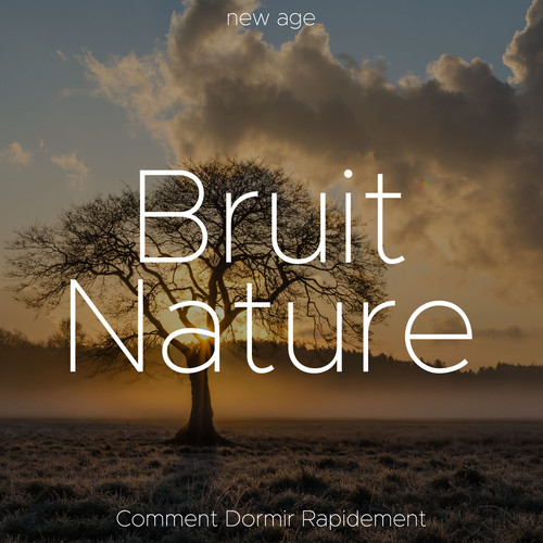 Bruit Nature: Comment Dormir Rapidement