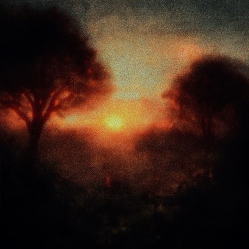 light in the distance