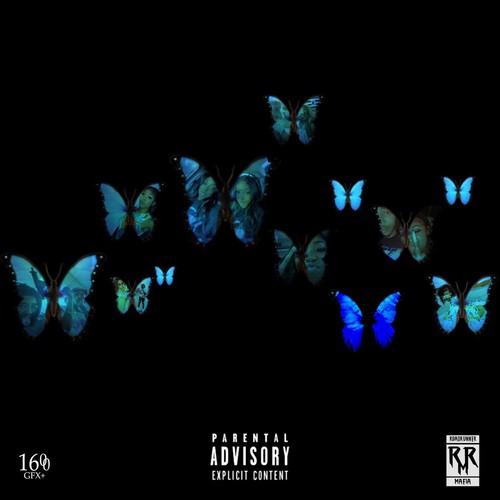 The Butterfly Effect (Explicit)