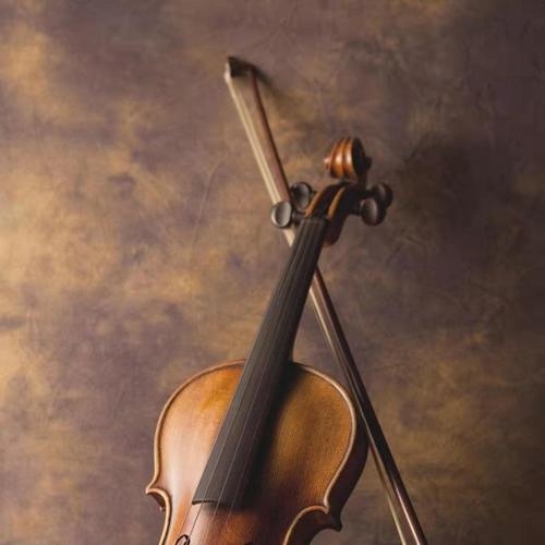 古典浪漫的西方乐器