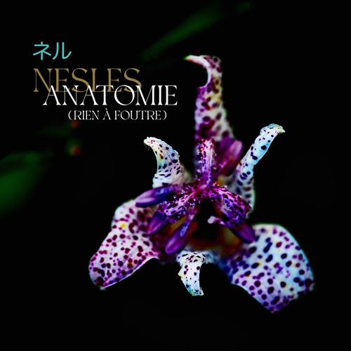 ANATOMIE (Rien à foutre) [Explicit]