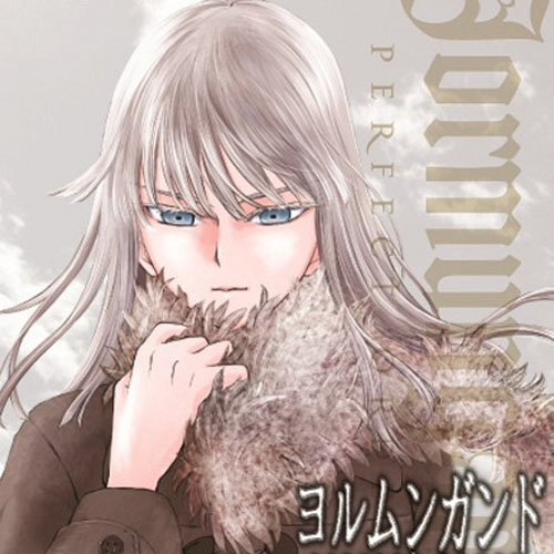 ヨルムンガンドPERFECT ORDER REMIX ALBUM 