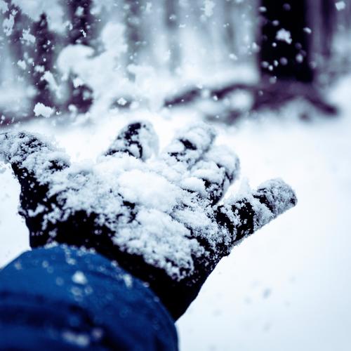 Snowfall (Explicit)