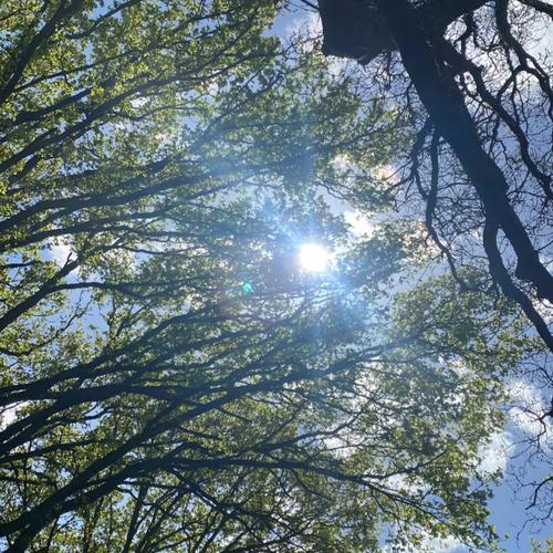 17 hoes on me i feel elegant i belong in an art show (feat. Eric butter) [Explicit]