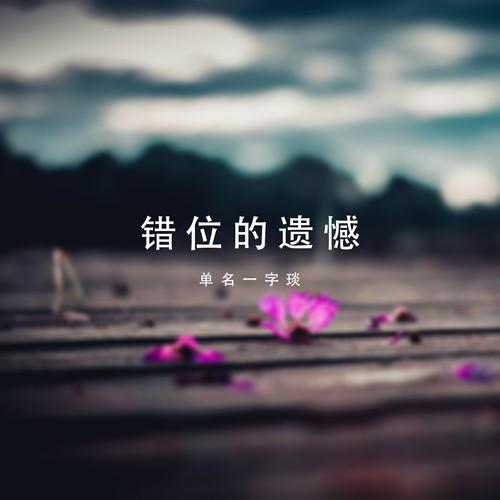 错位的遗憾(咚鼓版)