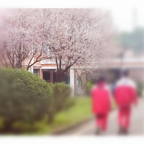 “Jungle里的Jungle”Mixtape