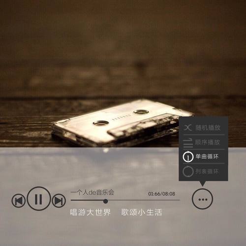 一个人de音乐会 张玉龙填词作品专辑